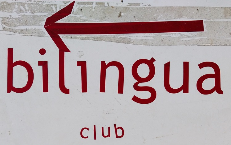 Bilingua club. Кафе-клуб «Билингва». Вывеска-указатель. — 2000-е гг.